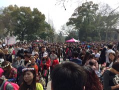 <b>常年大量游客进入大学校园对外开放遇花季难题</b>